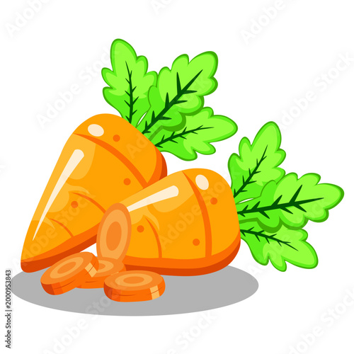 Illustration of Carrots and Carrot Slices