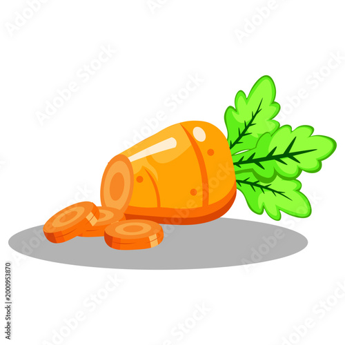 Sliced Carrot Illustration