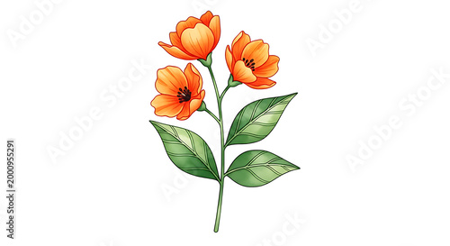 Orange flowers png with green leaves on stem isolated on transparent background