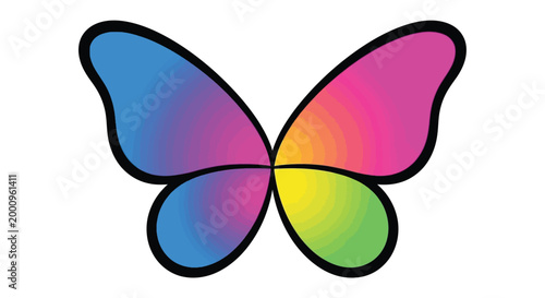 Colorful Butterfly Wings Spread Wide Open.