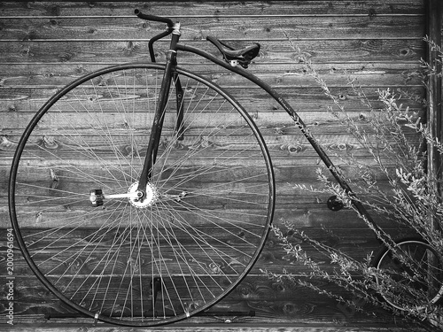 Fotografie An old fashioned penny farthing bicycle with a large front wheel leans against a
