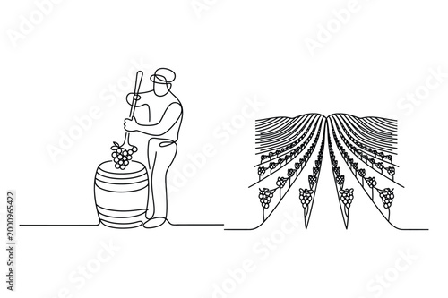 Winemaker tending grapes and vineyard rows vector illustration winemaking