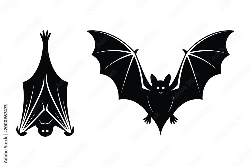 Fototapeta premium Silhouette of two bats one hanging upside down vector illustration silhouette