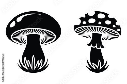 Two silhouette mushrooms with detailed gills mushroom toadstool woodland