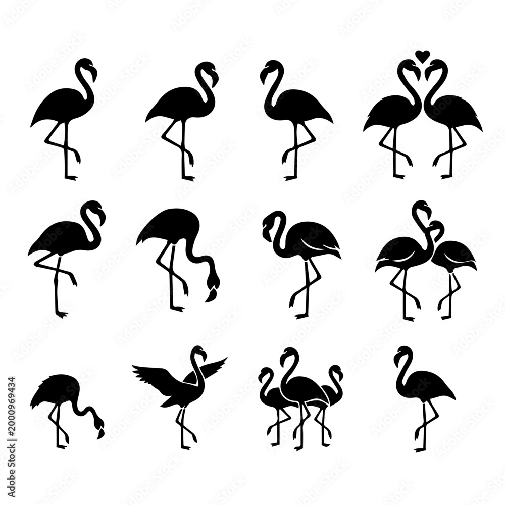 Obraz premium Flamingos are standing and flying in a wildlife scene with various poses.