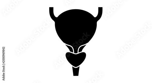 Black silhouette icon of the human urinary bladder and prostate gland.