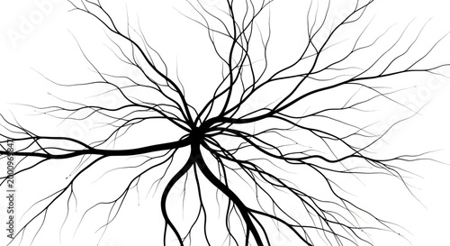 Abstract organic network of black branching veins on white background.