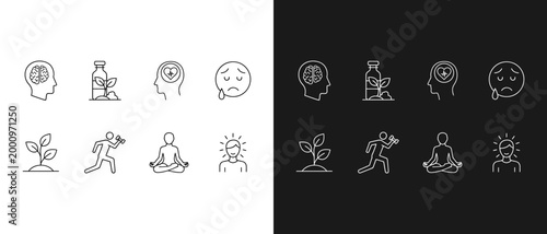 Abstract botanical illustrations a dichromatic study of floral and foliage designs