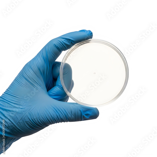 Hand holding a small circular object with a blue glove isolated on transparent background