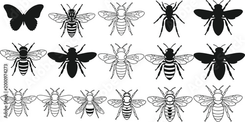 Insect silhouette and outline vector set with butterflies, bees, ants, and flies for nature, science, and design concepts