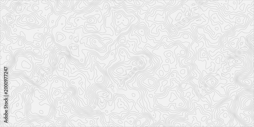 Subtle Topographic Contour Lines Background  Minimal Monochrome Topographic Map Pattern for Design.
