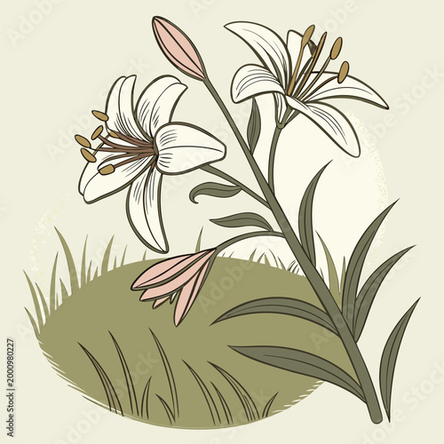 Lilies growing in a green grassy mound