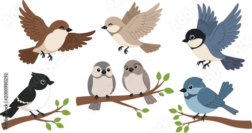 Schilderij op canvas Cute birds collection with flying and perched songbirds cartoon vector illustrat
