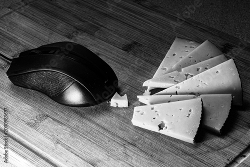 Creative black and white still life showing a computer mouse “eating” cheese, symbolizing digital consumption, user interaction, and technology addiction. Minimal conceptual photography with humorous 