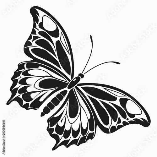 Detailed butterfly insect graphic silhouette art with butterfly, illustration