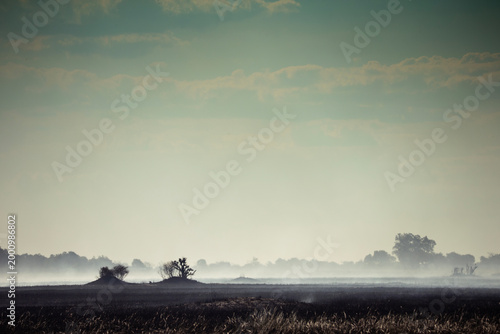 Bush fire aftermath