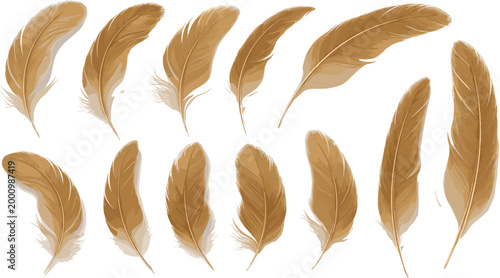 Brown Feather Collection Vector Illustration Featuring Realistic Soft Feathers in Various Shapes for Nature Design Decoration and Artistic Elements.