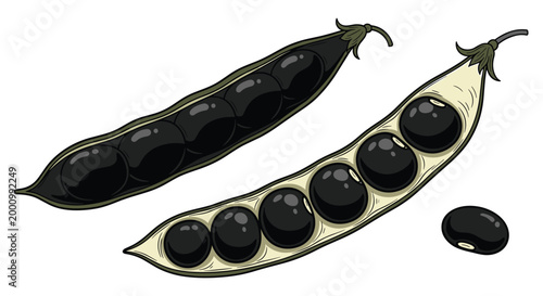 A duo of black soybean pods, one closed and one split open to reveal the dark, glossy beans inside, alongside a loose bean, symbolizing healthy and rich produce.