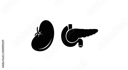 Human spleen and pancreas organ silhouette icons.