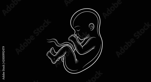 Minimalist white line drawing of a human fetus on black background.