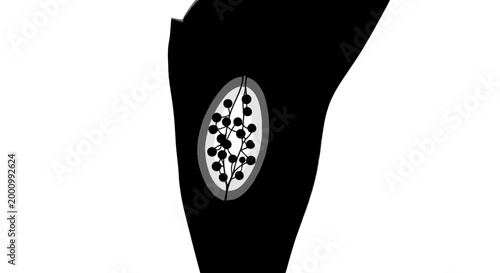 Abstract graphical representation of a biological cell structure with internal organelles.