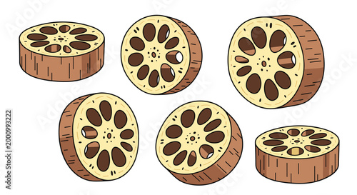 A dynamic collection of various-sized lotus root slices, presented from multiple angles, each distinctly showing its unique internal pattern of hollow channels, ideal for culinary themes.