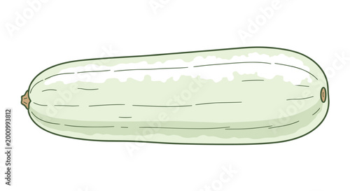 A sleek illustration of an elongated white zucchini, showcasing its smooth, pale skin and gentle curves, ideal for healthy eating and diverse culinary creations.