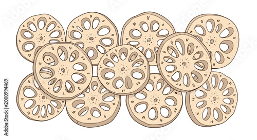 A large scattered collection of various-sized lotus root slices, clearly displaying their distinctive patterns of hollow air channels, ideal for Asian culinary and healthy food concepts.