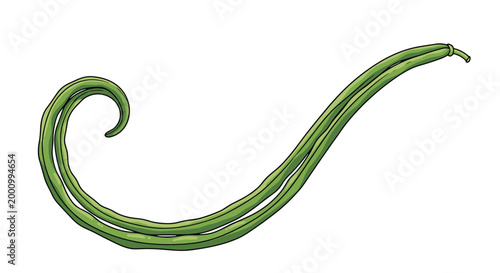 A unique illustration of two intertwined long beans, or yardlong beans, showcasing their slender, elongated green form, perfect for healthy Asian culinary themes.