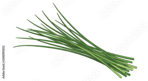 A fresh bunch of slender green chives, tied together, showcasing their long, delicate stalks and vibrant color, perfect for culinary garnish and flavor enhancement.