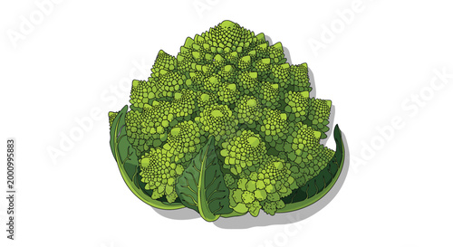 A stunning romanesco broccoli head, showcasing its intricate fractal patterns and vibrant lime green florets, a visually striking and healthy vegetable for gourmet and organic themes.