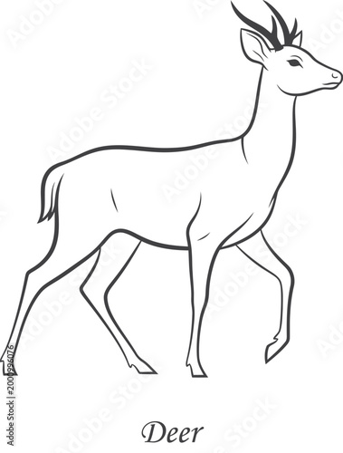 design wildlife drawing stag mammal animal illustration buck outline