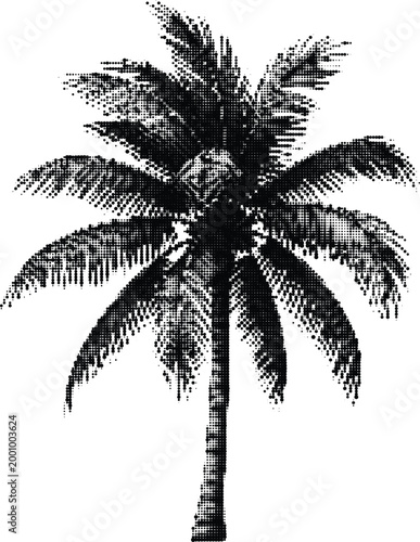 Tropical palm tree silhouette with halftone dot effect for summer beach vacation and holiday nature art design.