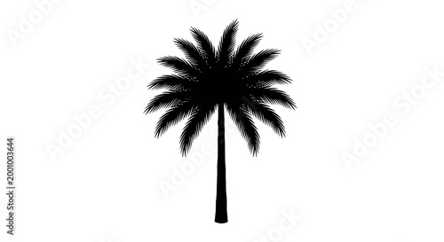 Elegant silhouette of a palm tree a tropical icon against a pristine white background