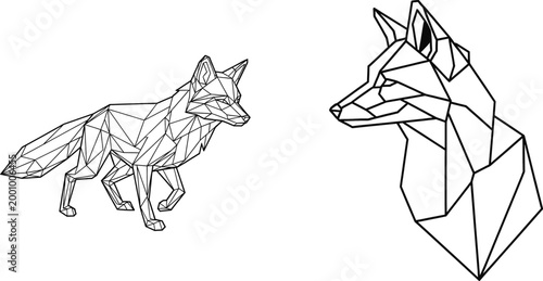 Geometric Fox Line Art Illustration for Endangered Species Awareness
