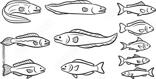 Fish Outline Illustration Collection Vector Set Featuring Various Freshwater and Marine Species Side View Aquatic Wildlife Line Art Design Elements