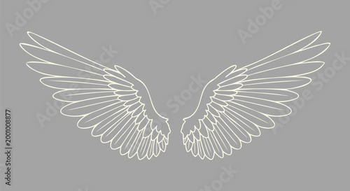 Minimalist Stylized Bird Wings Vector for Endangered Species Day