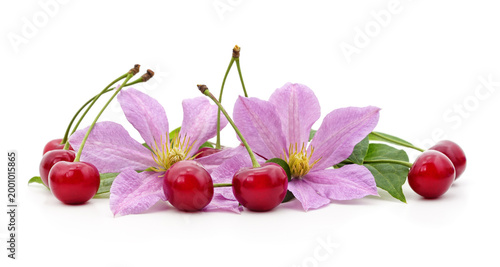 Red cherries with pink clematis flowers.