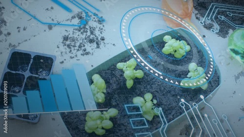 Planter with six seedlings receiving HUD overlay after sensor activation, scanning health graphs