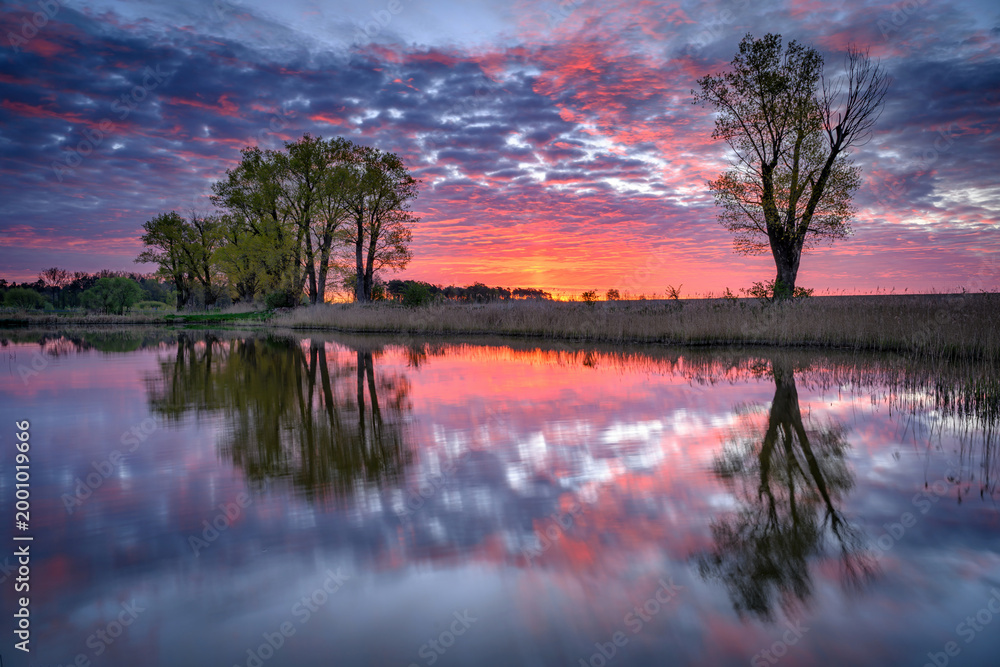 Fototapeta premium Beautiful sunrise over lake in the forest