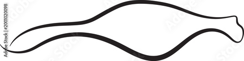 Minimalist black line silhouette of a sports car on white background, also transparent background, line black