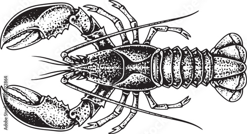 Detailed black and white vintage illustration of a large lobster, showcasing textured shell, claws, and antennae, isolated on checkered background, seafood concept.