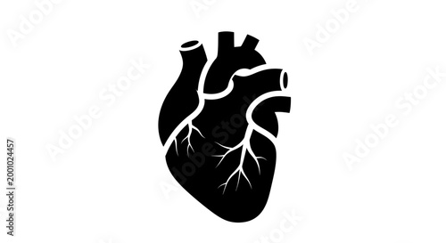 Anatomical Human Heart Silhouette Vector Icon Isolated on White Background