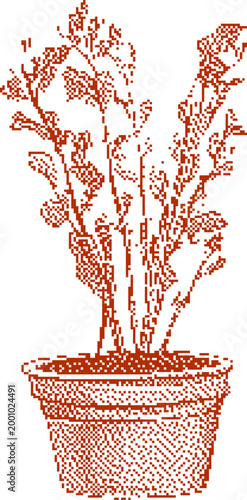 Potted herb plant in a terracotta pot with a white background line art illustration