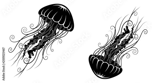Set of Two Stylized Black and White Jellyfish Silhouettes Floating, Artistic Marine Life Vector Illustration for Tattoo, Logo Design or Print