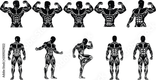 Set of detailed muscular bodybuilder silhouettes with anatomical muscle definition featuring athletes in various competition posing isolated on white