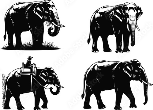 Set of detailed black and white elephant silhouettes featuring wild animals in nature and a mahout riding an elephant