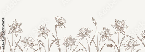 Daffodils floral border in line art style. Hand drawn vector illustration with narcissus flowers and leaves, elegant botanical design for invitations, packaging and print.