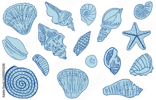 Hand drawn blue seashells set. Coastal ocean travel minimalist line art. Tropical beach shells drawing ink. Vector Summer vacation design elements for trendy prints, label, menu cover, scrapbooks