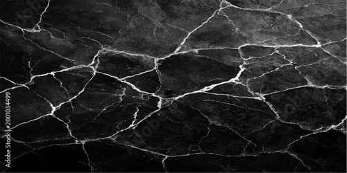 A close-up view of the intricate surface of dark marble. The rich textures and detailed patterns create a visually captivating, luxurious, and artistic abstract aesthetic.